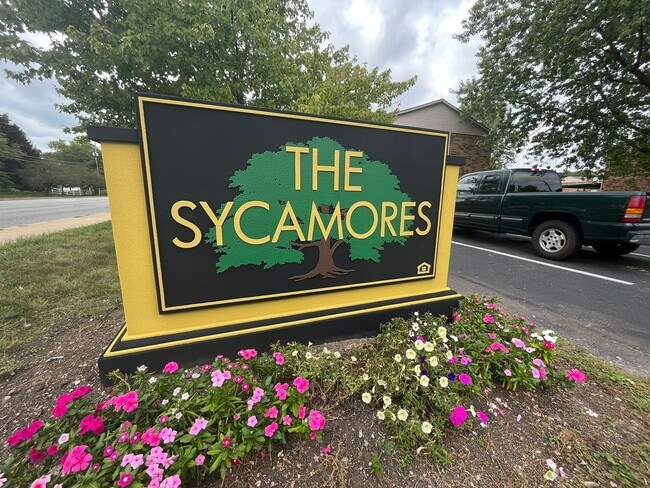 Building Photo - The Sycamores