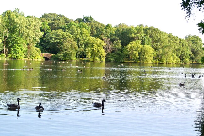 Building Photo - 77 Pond Ave