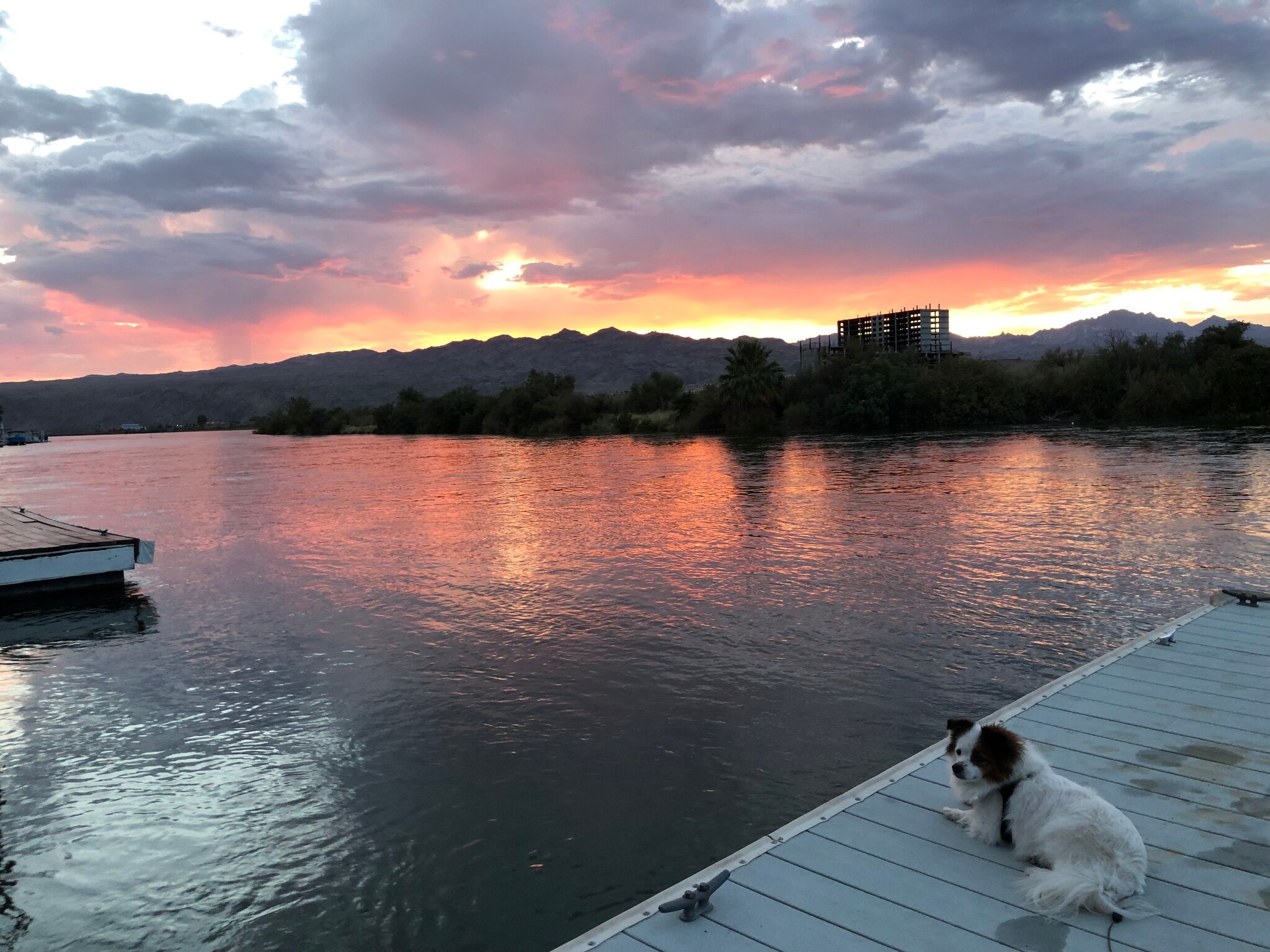 Building Photo - 1391 Riverfront Dr