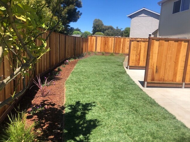 Spacious backyard - Lloyd Court Apartments