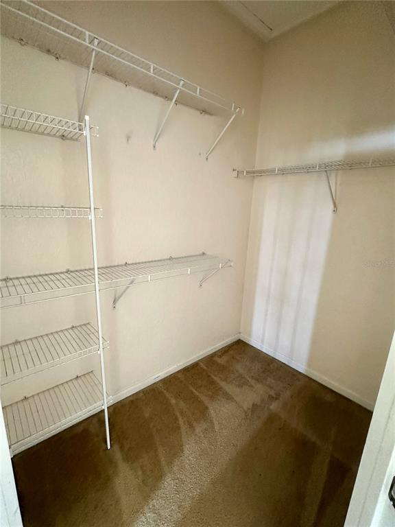 Building Photo - 6402 Cava Alta Dr