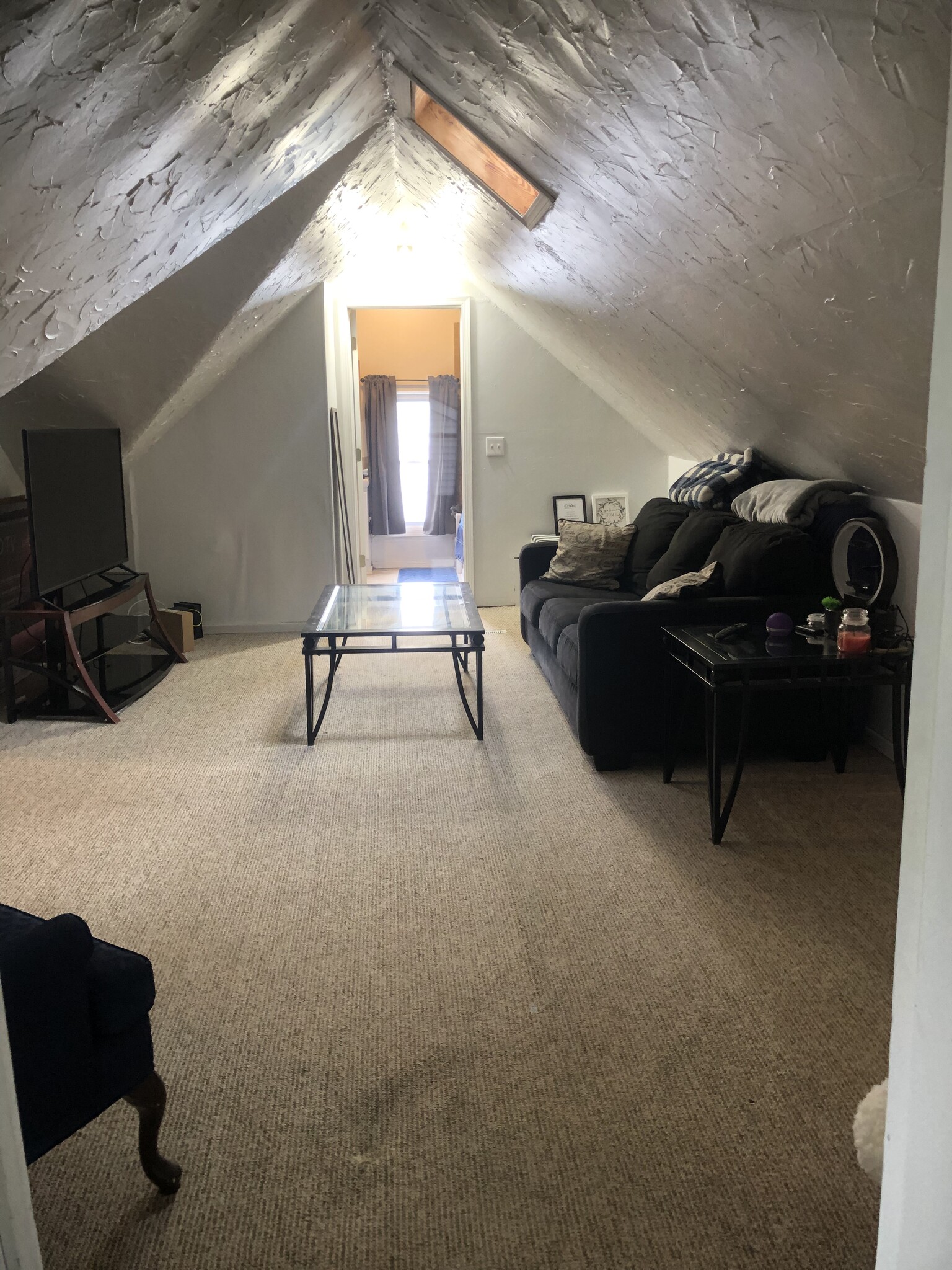 Living Room - 829 Milwaukee St