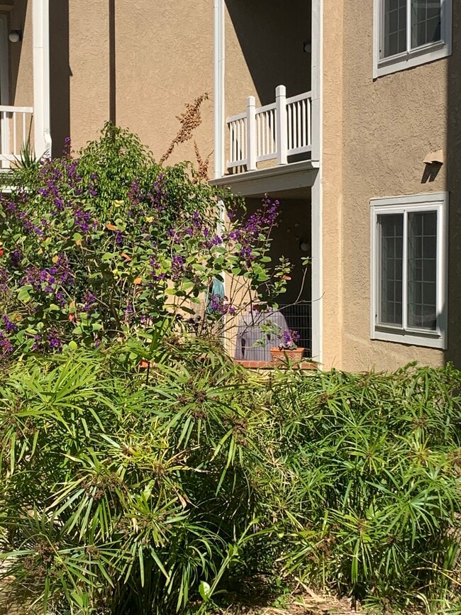 View of unit from Inner court yard/stream - 8500 Falmouth Ave