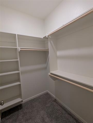 Building Photo - 2700 Ginger Ct