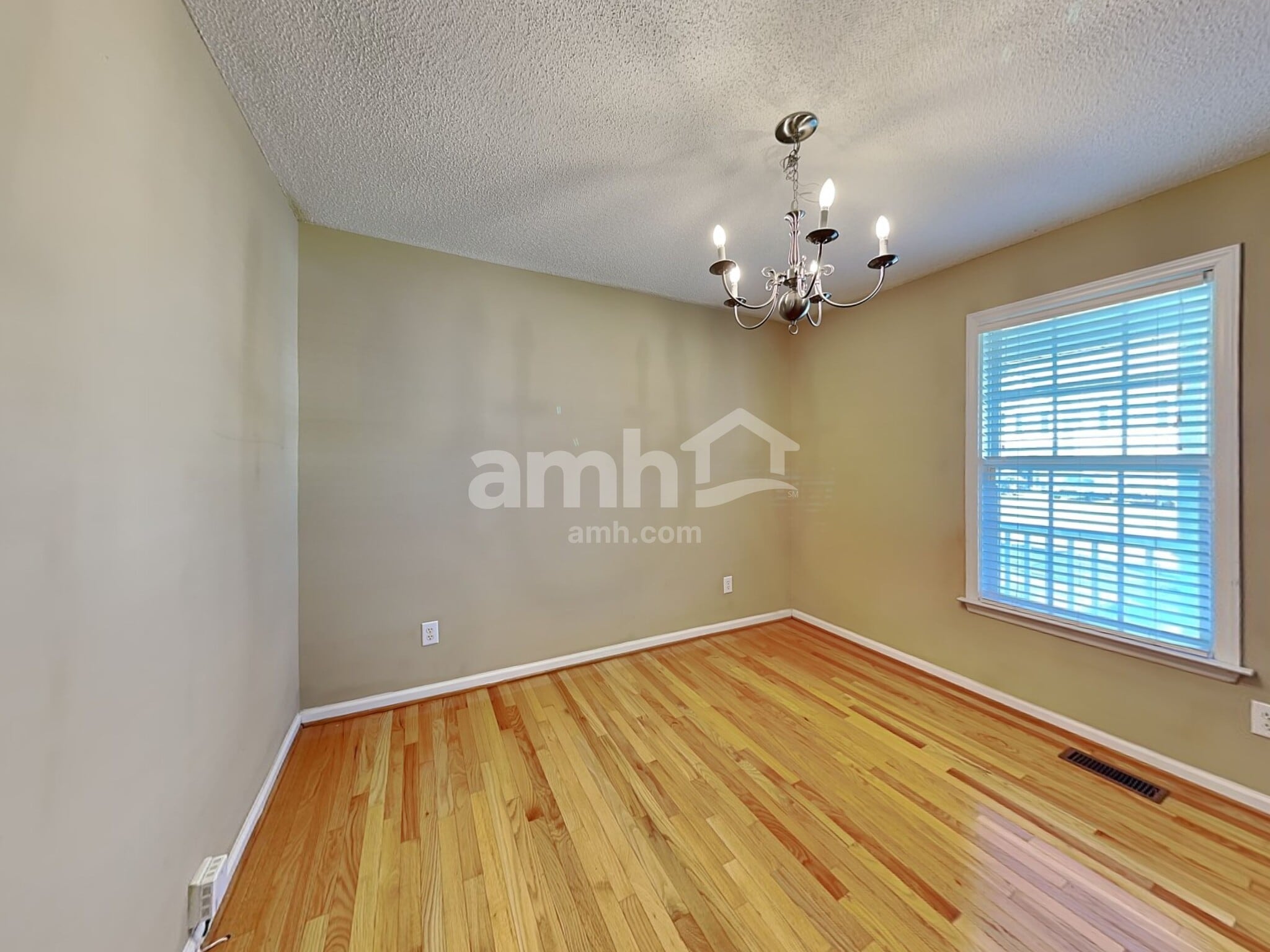 Building Photo - 3623 Mechanicsville Run Ln