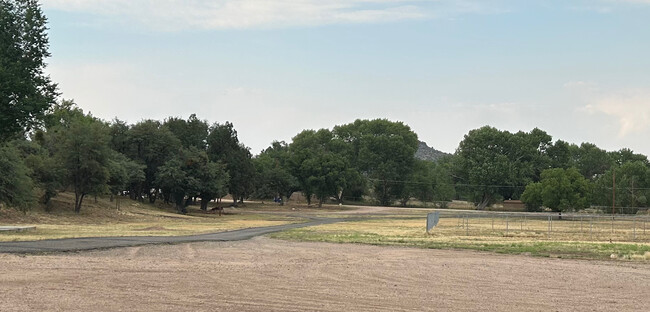 view from front door - 2520 W Shadow Valley Ranch Rd