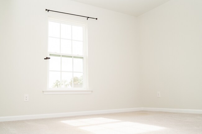 Building Photo - 216 Chaste Tree Cir