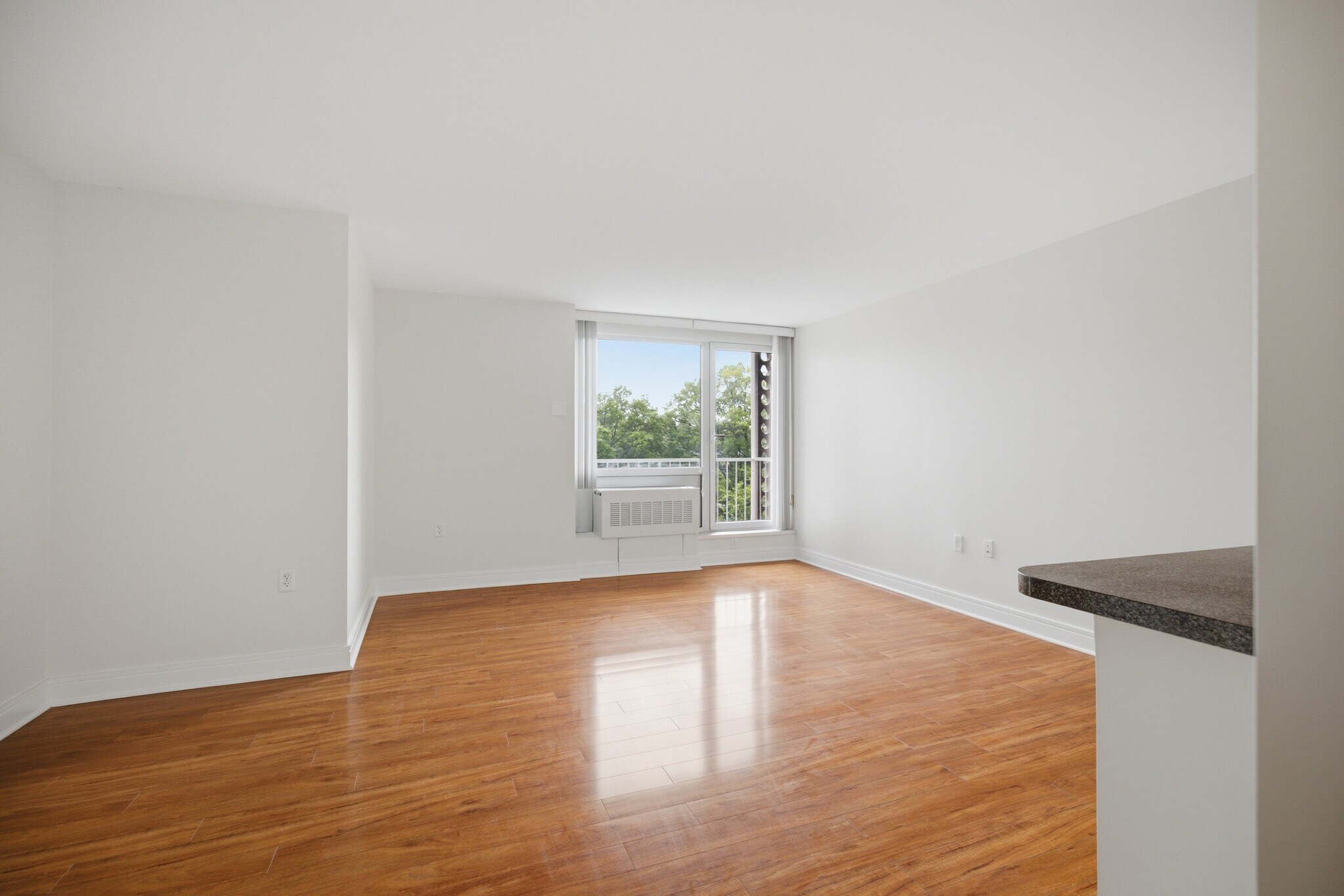 Entry to LR/balcony - 800 4th St SW