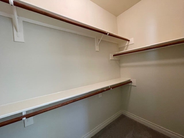 Building Photo - 9103 Creekstone Lake Dr