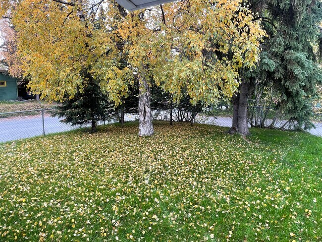 Building Photo - 4502 Klondike Court