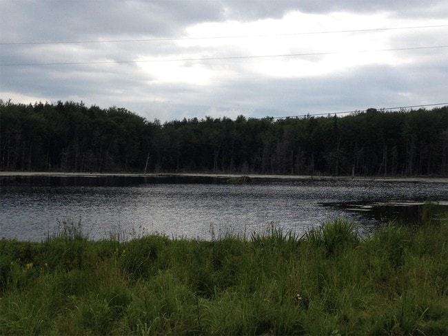 Building Photo - 618 Shearer Hill Rd