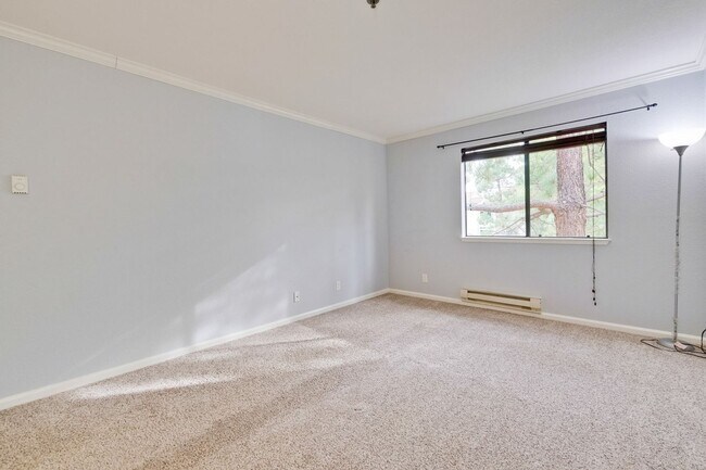 Building Photo - 1 Bed 1 Bath With Lots of Amenities!