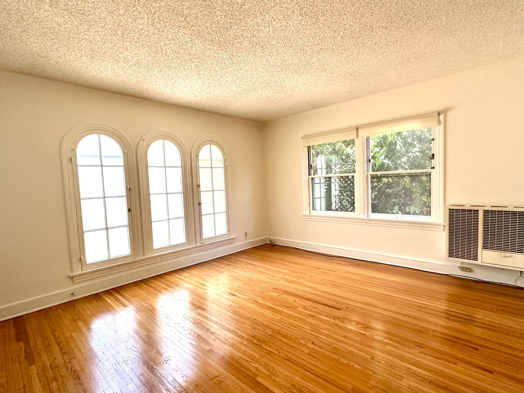 Living room - 1138 N Gardner St