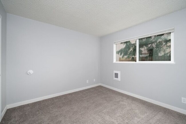 Building Photo - Completely Remodeled | Lower 2-bedroom 1 B...