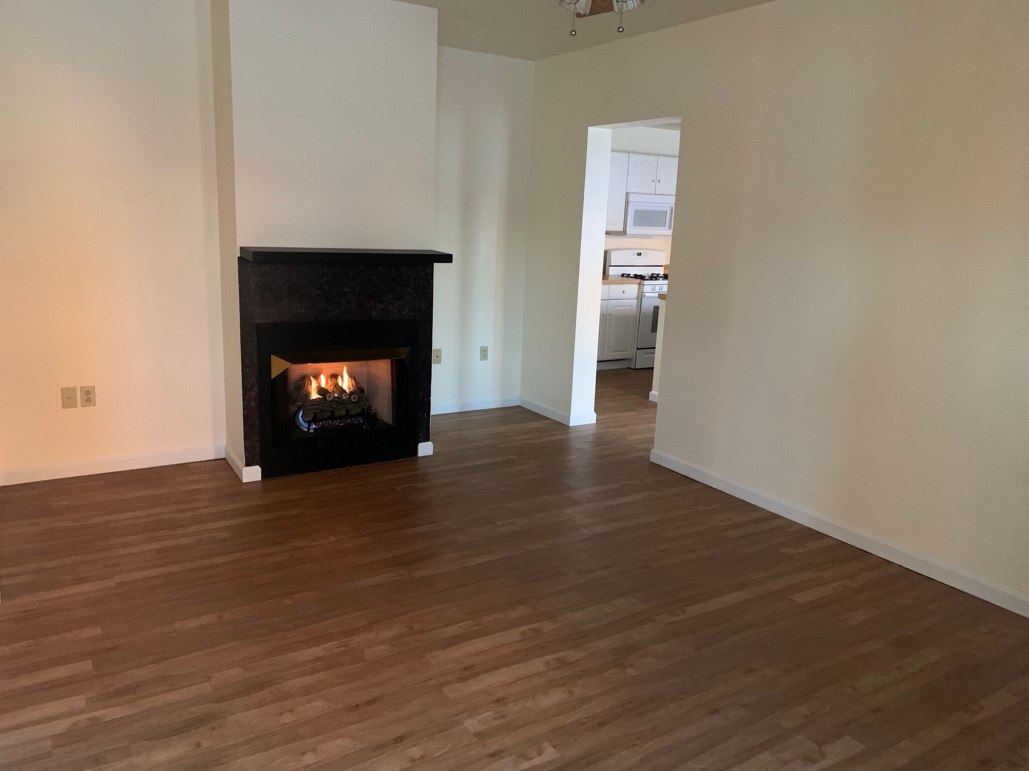 Living room - 365 E Maiden St