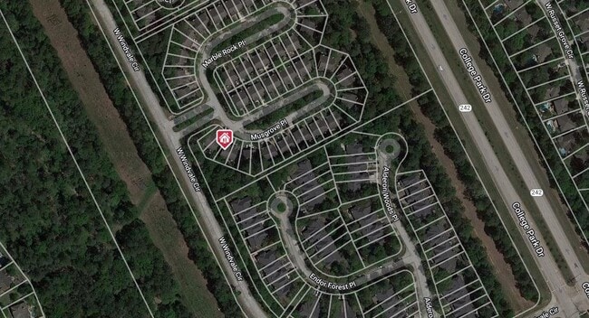 Building Photo - 10 Musgrove Pl