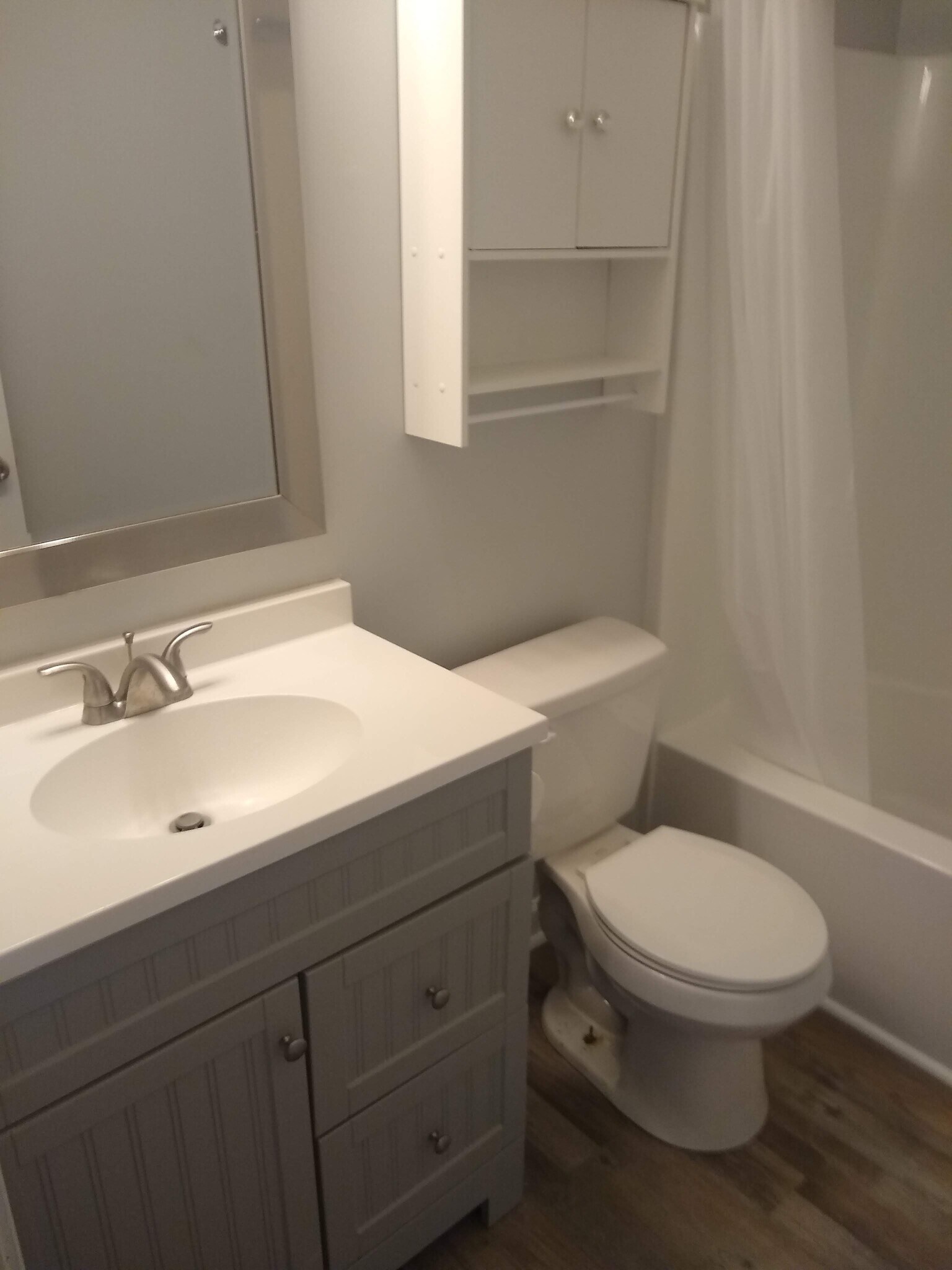 Hall Bathroom - 967 may Apple dr