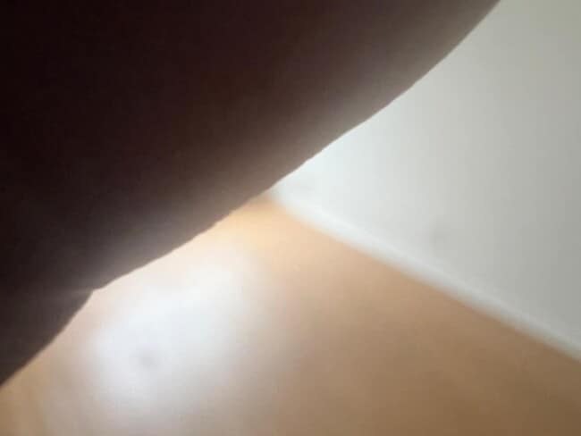 Building Photo - 5292 Bosque Ln