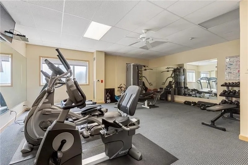 Gym - 5 Bayard Rd