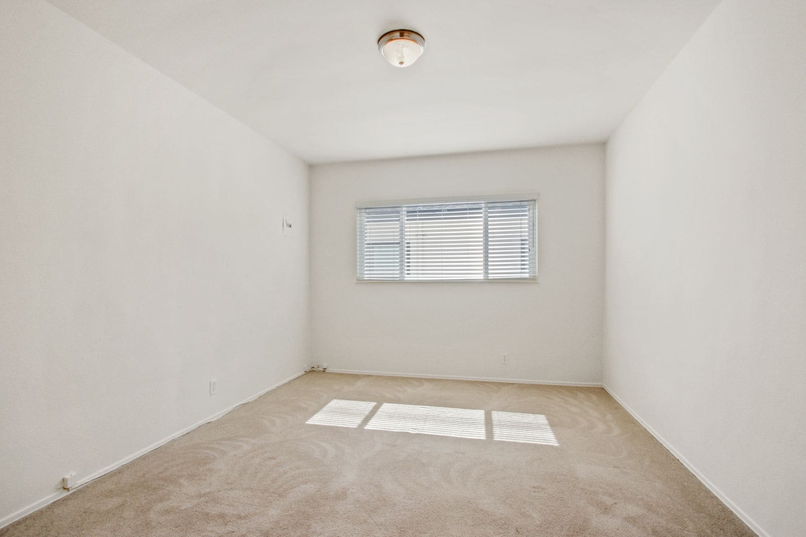 Building Photo - 1234 10th St