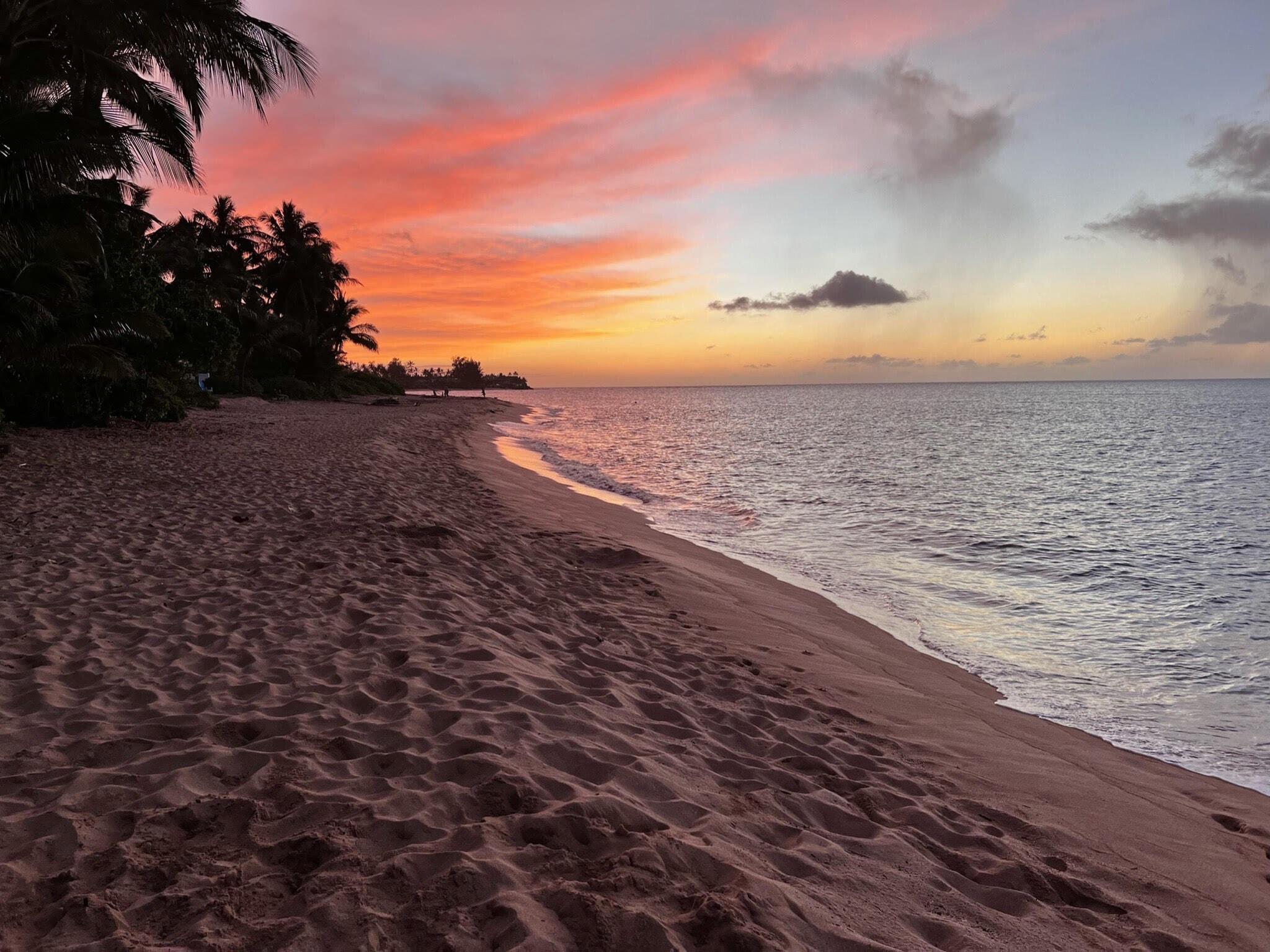 Building Photo - 876 Curtis St