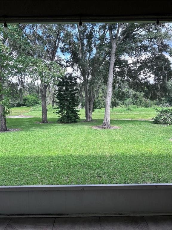 Building Photo - 1531 McCrea Dr