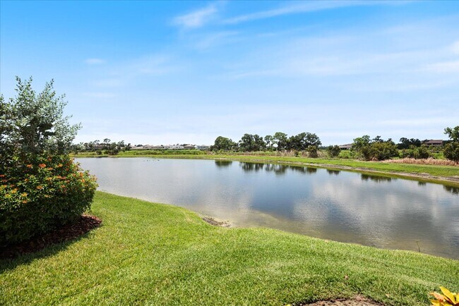 Building Photo - Luxury Home w/ Pool, Outdoor Kitchen, Car Lift, & Water View In Parrish!