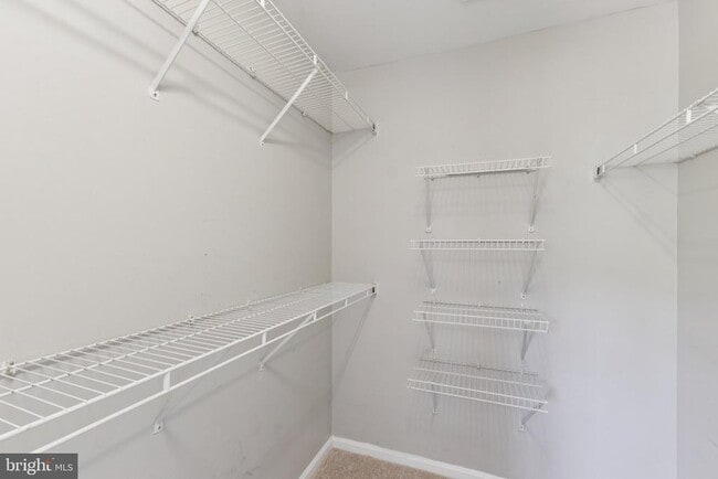 Building Photo - 11624 Rumford Ct