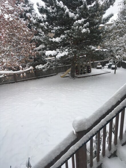 Snow Covered Backyard (Grass Area) & Sandbox - 5736 S. Garland Way