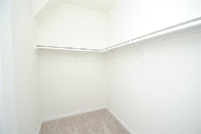 Building Photo - 9207 BetanCourt Ct
