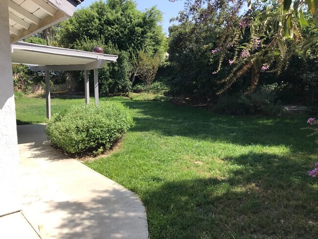 backyard - 25559 Mandarin Ct
