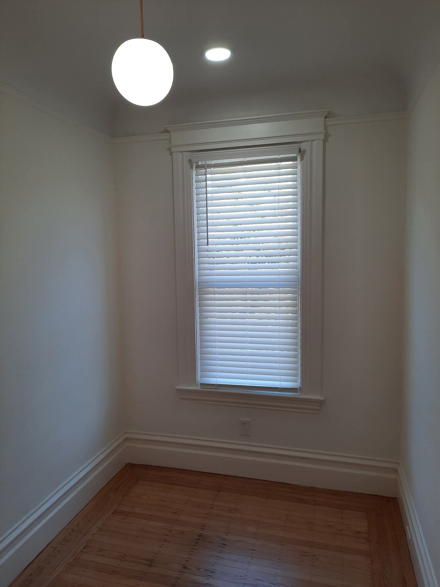 Building Photo - 61 Brosnan St