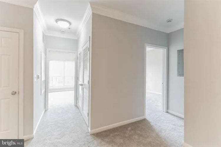 2 Bedrooms - 4852 Eisenhower Ave