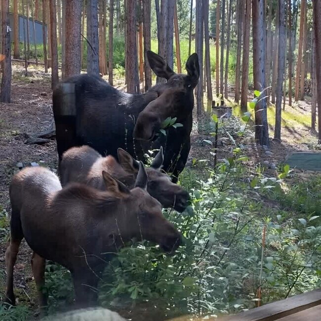 Building Photo - 157 Independence Cir