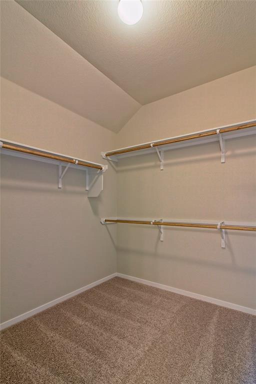 Building Photo - 6613 Wolf Pack Dr