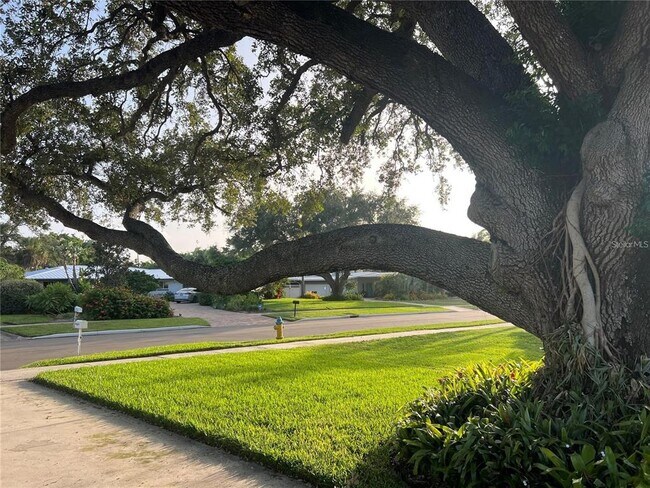 Building Photo - 329 Bernard Ave