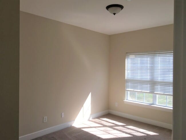 Building Photo - 247 Dobson Branch Ct