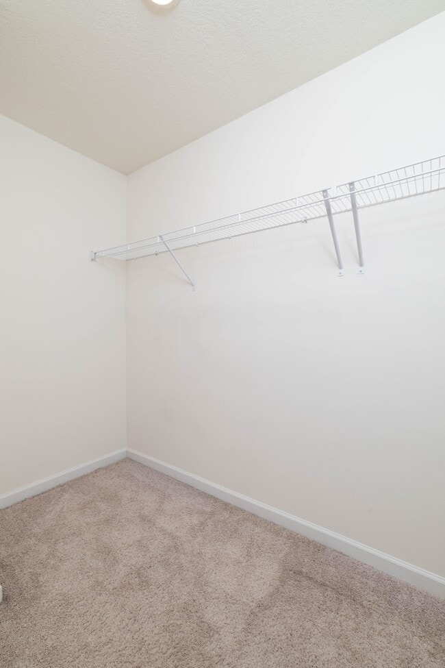 Building Photo - 228 Belle Ct