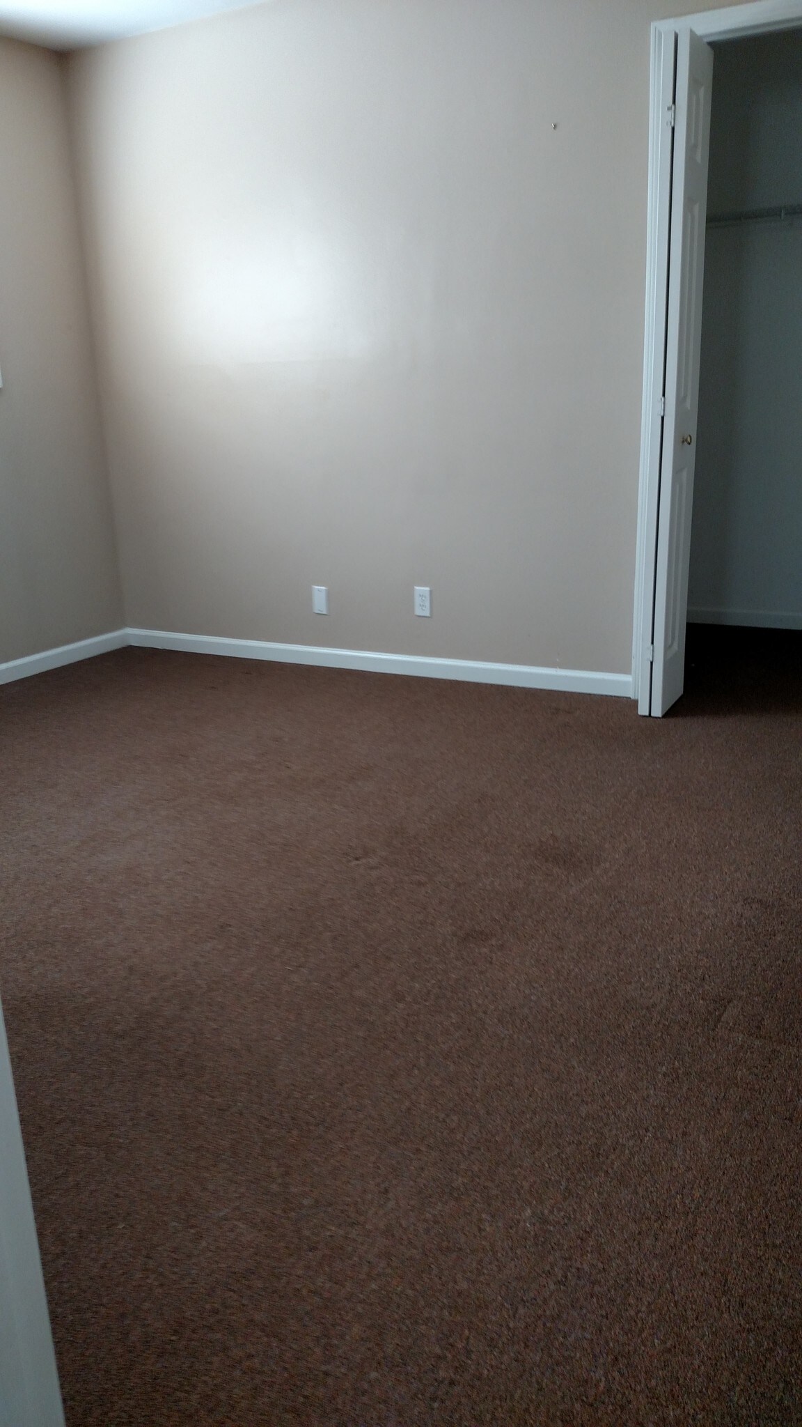 Bedroom - 1317 Argo Ln