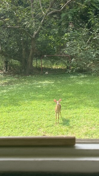 Backyard View - 5313 Penny Rd