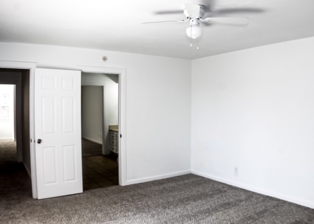 Primary Photo - 12317 Cedar Springs Ln