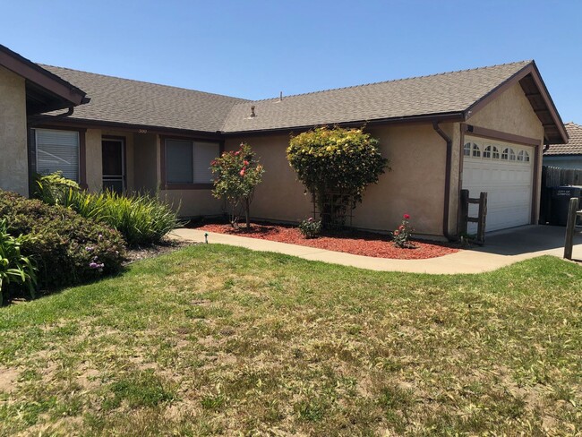 Building Photo - Sunny Single Family Home