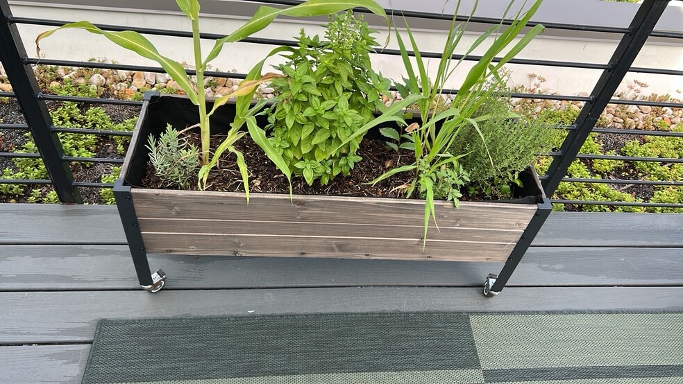 Building Photo - 4804 Georgia Ave NW