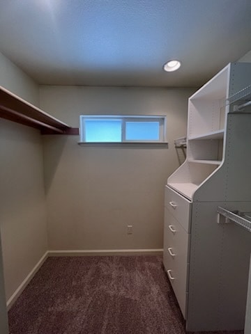 Building Photo - 12437 Silk Tassle Cir