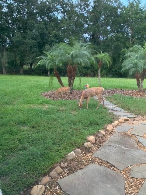 Building Photo - 2841 Banyan Hill Ln