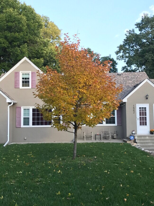 Building Photo - 1542 3rd Ave