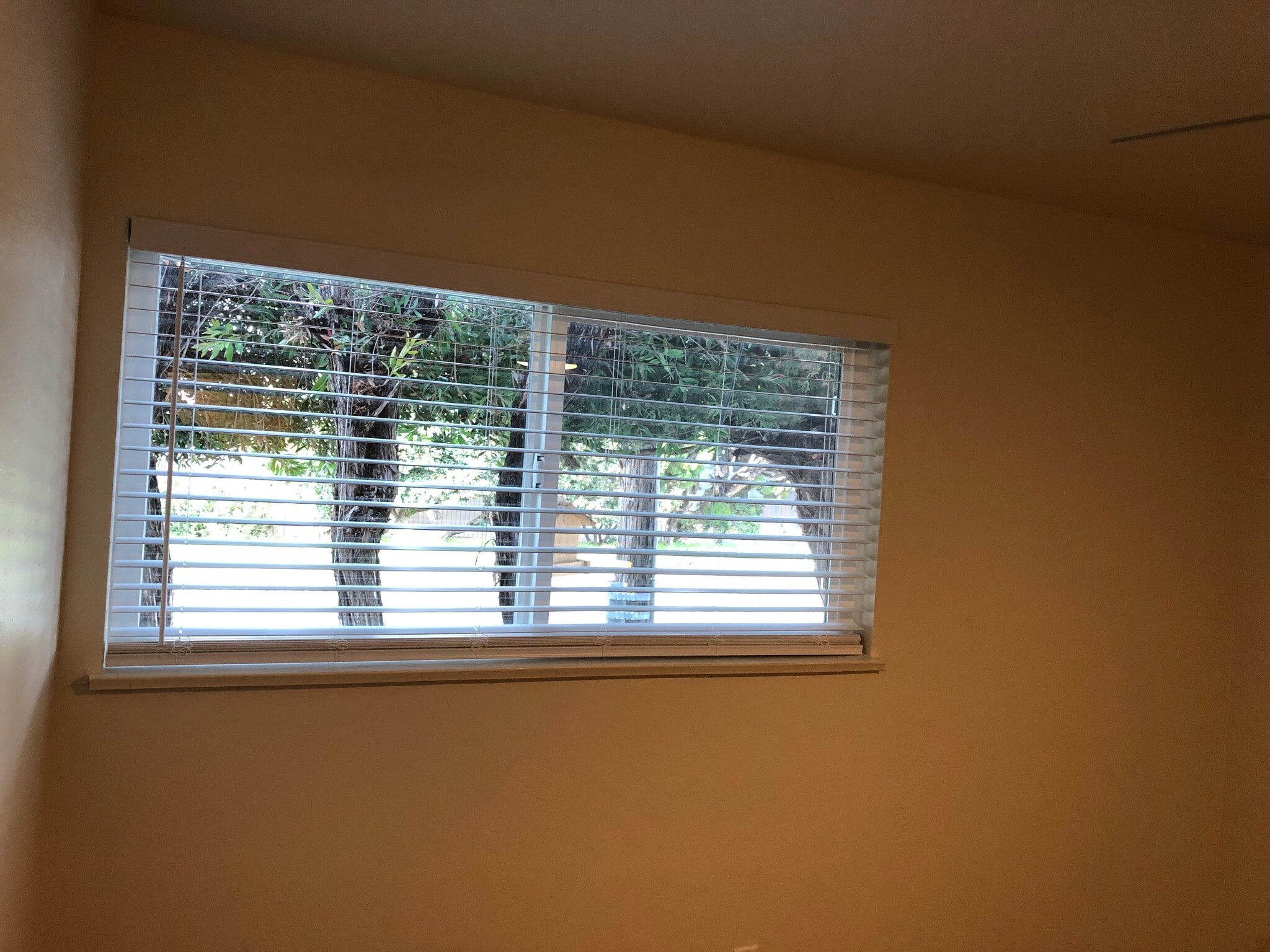 Building Photo - 3801 Nevin Ave