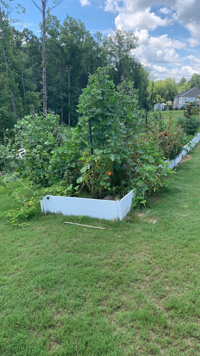 Building Photo - 10359 Paper Birch Dr