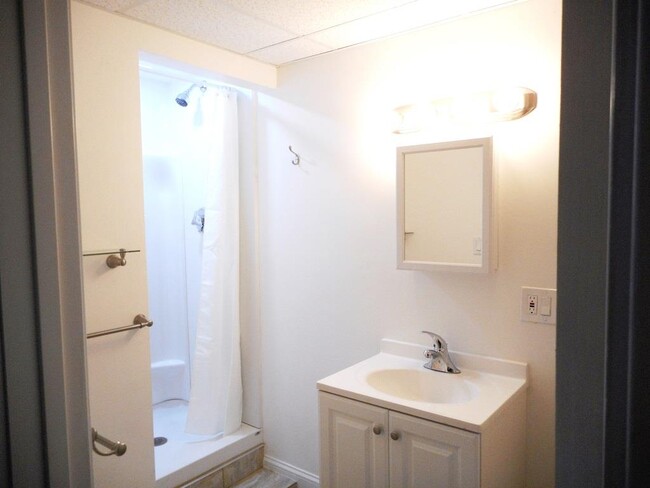 bathroom/shower - 157 Hamilton St