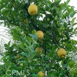 Building Photo - 1320-1323 3 Ranch Rd